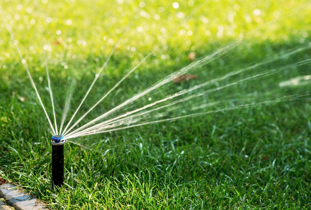 drainage services