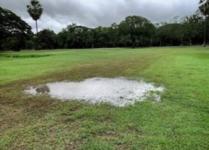 Drainage Solutions in Providence, FL