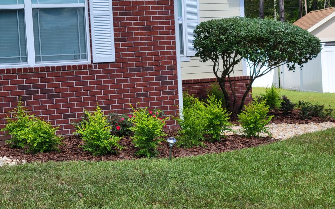 Why You Need a Professional for Lawn Maintenance